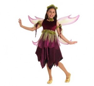 fairy costume